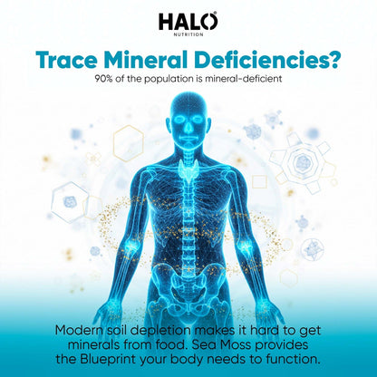 Halo Nutrition - Sea Moss