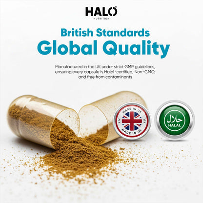 Halo Nutrition - Sea Moss