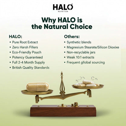 Halo Nutrition - RHODIOLA